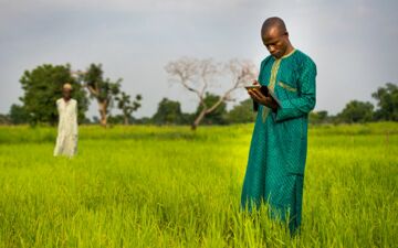 Nigeria: Digitalisierung und Microversicherungen schützen Landwirte gegen klimabedingte Ernteausfälle. (c) Christoph Mohr/GIZ