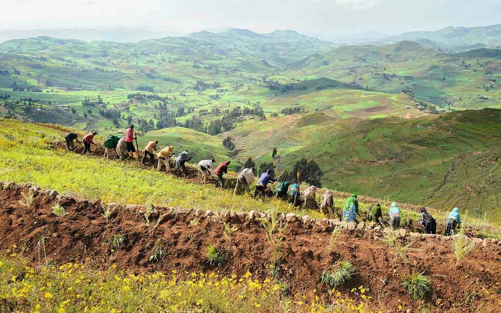 Together and resourceful against worldwide hunger