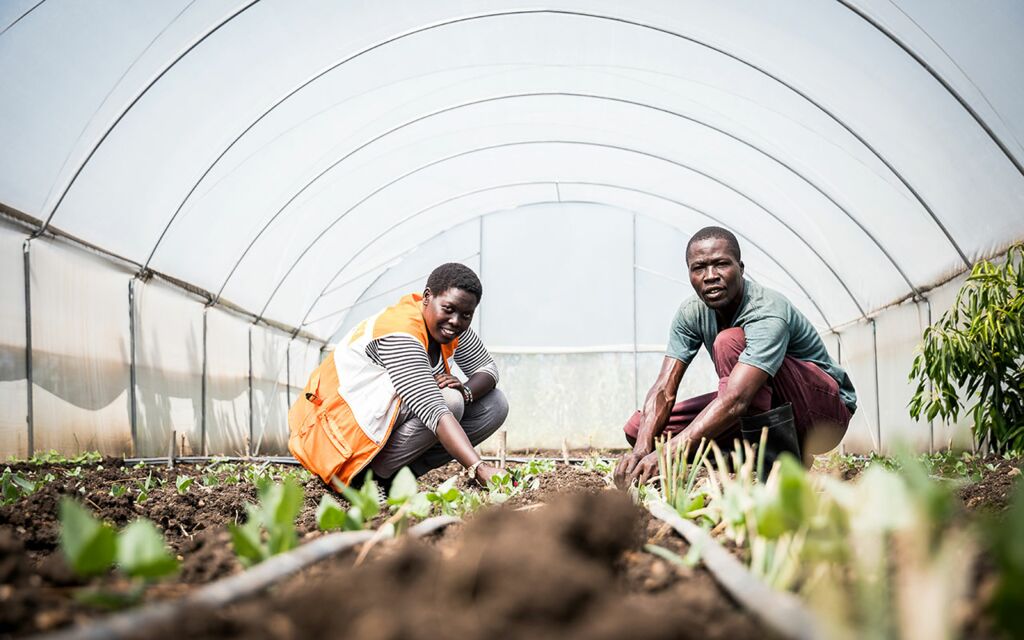Ein Klassenzimmer im Garten Eden