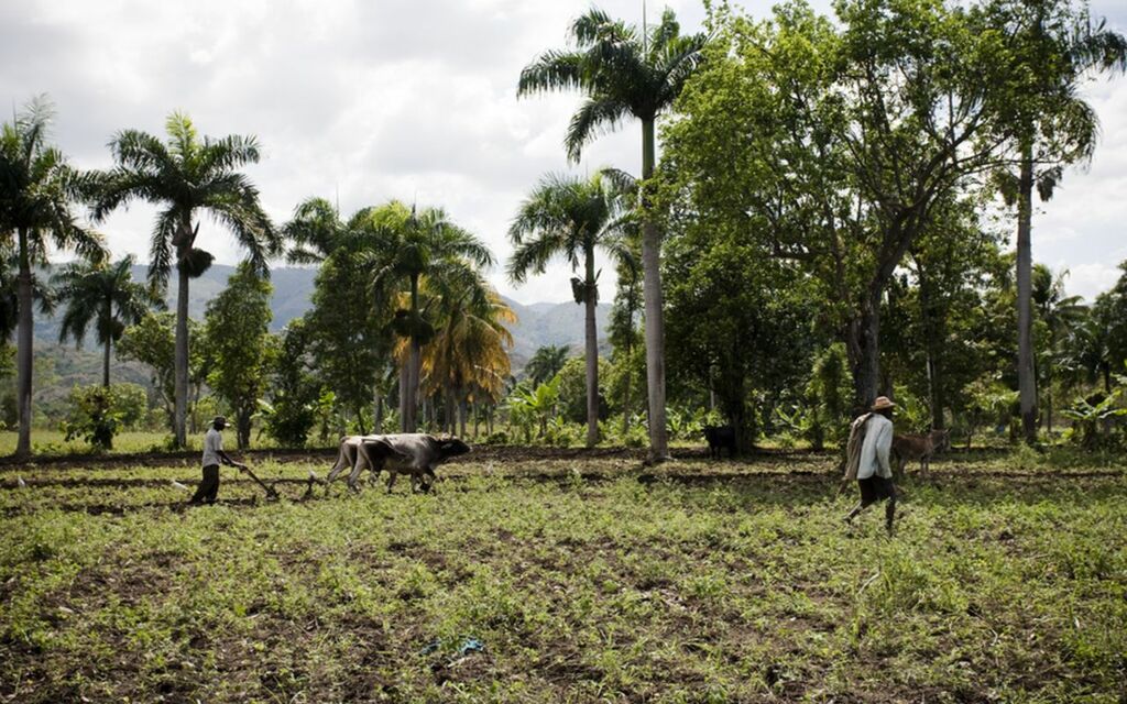 Successful Blueprints for African Agriculture