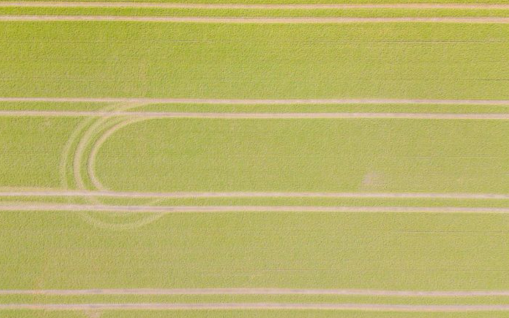 Wie gelingt Welternährung in Zeiten der Klimaveränderung?