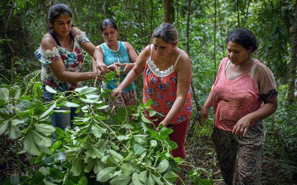 Resiliente Kleinlandwirtschaft: Ein Schlüssel bei globalen Krisen