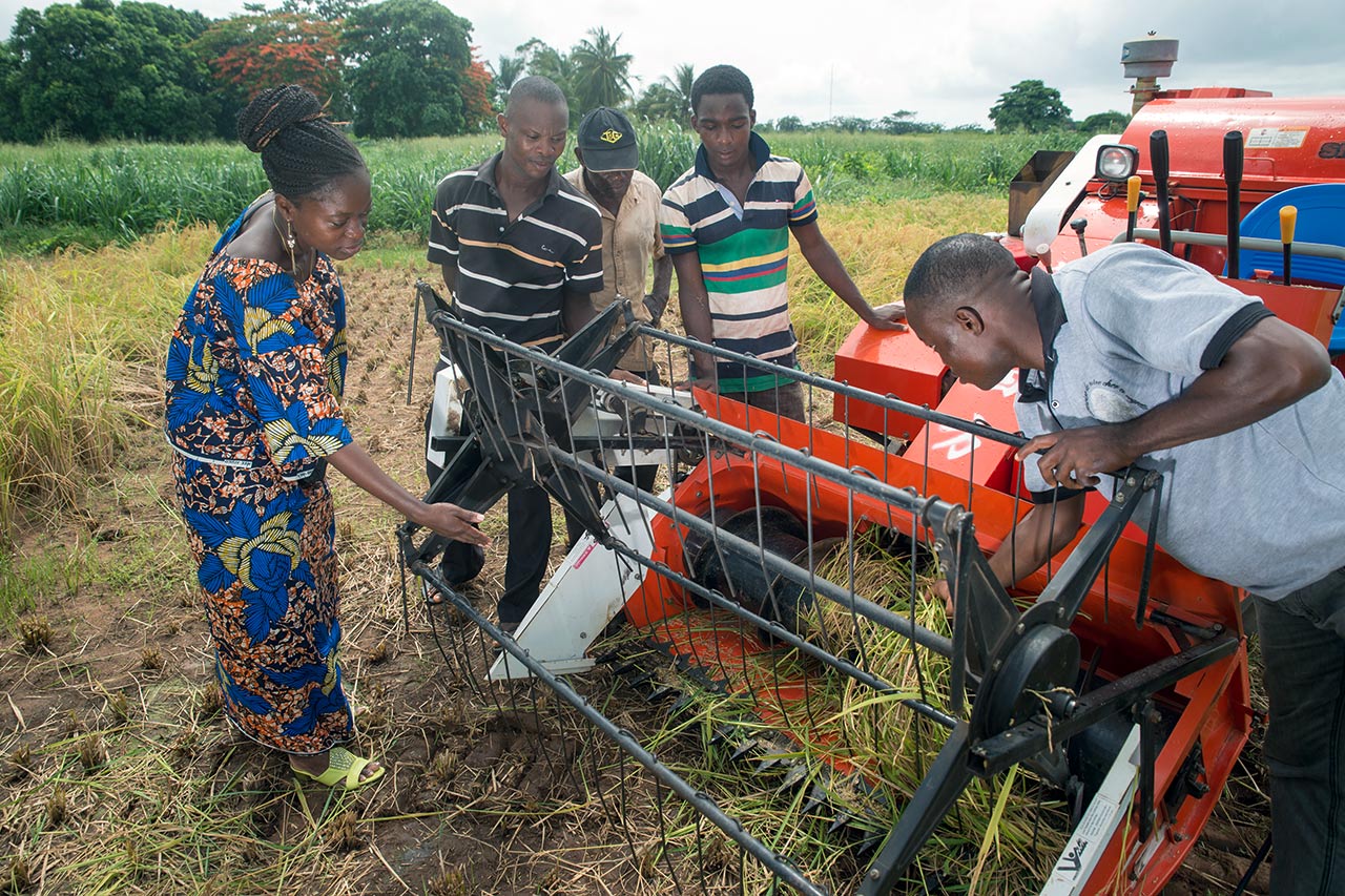 Use of agricultural machinery to harvest rice in Benin. Photo: Klaus Wohlmann/GIZ